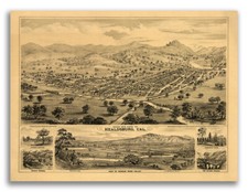 Healdsburg California 1876 Historic Panoramic Town Map - 24x32 picture