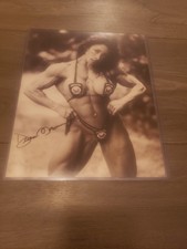 Denise Masino Muscle Elegance Bodybuilding Signed 8x10 Photo picture