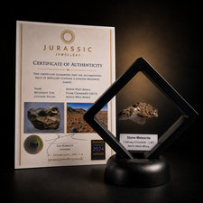 Genuine Stone Chondrite Meteorite – North West Africa – Deluxe Collectors Set picture
