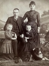 c1880s Antique Cabinet Card Portrait Family Twins Dog Paddack Howell Michigan picture