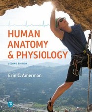 Human Anatomy & Physiology 2nd Edition - Hardcover By Amerman Instructor Review picture