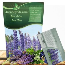 500 Seeds Blue Perennial Lupine Seeds For Planting | Lupinus Perennis Wild picture