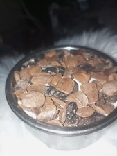Pure Organic Hunteria Umbellata (Abere) Seeds picture