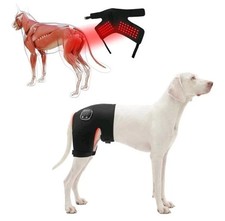 XL Dog Hip Brace with Red Light Therapy for Female Dogs OPN BX picture