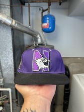 Vintage Northwestern Wildcats Zephyr Purple Fitted Hat Size 7 picture