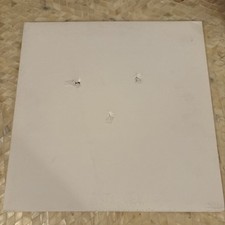 The Muslims - The Muslims Vinyl LP - The Soft Pack - Bullet Holes In Sleeve picture