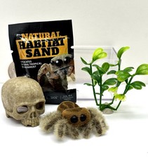 2026 Zuru My Mini Pets Miniature Toy Spider and Accessories Series 1 picture