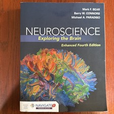 Neuroscience : Exploring the Brain by Barry Connors, Mark Bear and Michael A.... picture