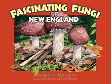 Fascinating Fungi of New England picture