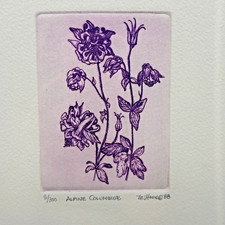 Marsha K Howe Vintage Signed Etching Alpine Columbine Ltd 5/300 Sealed 1988 picture