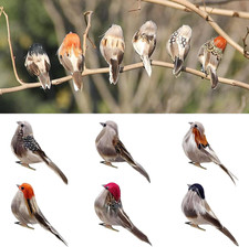 6Pcs Artificial Birds Realistic 3.9-Inch Simulation Foam Feather Sparrow Bird Cl picture