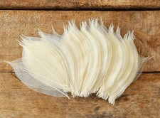 Real Leaves Natural Color 100 Pcs 4-5 Inches Color. picture