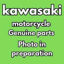 KAWASAKI 1998-2005 NINJA ZX-10 ZX-11 ZZR1200 Water Pump NEW OEM 49044-1080 picture
