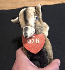 VINTAGE Phi Sigma Kappa fraternity small plush skunk personality pet - OLD picture