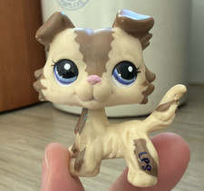 Authentic Littlest Pet Shop LPS #2210 Mocha Brown Zig Zag Collie Dog Blue Eyes picture