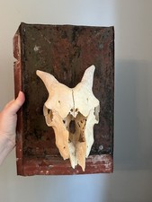 Vintage Goat Skull On Rustic Metal & Wood Plaque Wall Decor picture