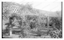 Danvers Massachusetts 1900s Garden Arbor Trellis Standard Postcard picture