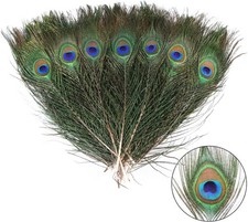 THARAHT 12pcs Peacock Feather Natural in Bulk 10-12 inch 25-30cm Small EyeFor Cr picture