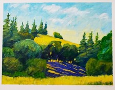 DAVID SKINNER (b. 1945) Original SIGNED Oil Pastel Painting on Paper Unique OOAK picture