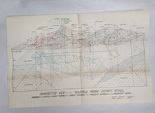 1930s Original Goldfield Mining District Nevada Fold-Out Geological Vein Map picture