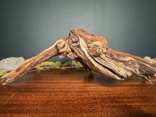 17” Manzanita Driftwood Branch, Aquarium, Terrarium, Aquascape,Home Decor picture