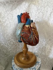 Vintage Denoyer-Geppert Anatomical Heart With Stand, Flaps Open picture