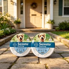 2X Adjustable Dogs Collar for Small Dogs Soft Durable Comfortable Pet Collar US picture