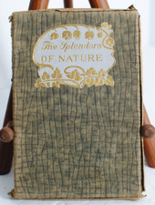 The Splendors of Nature The Two Voices Copyright 1886 John W. Chadwick picture