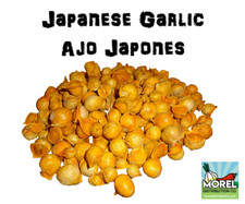 Japanese Garlic (Ajo Japones) Count per bag= 30-60-130 //100% Natural//  picture