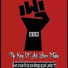 Howard Stern Radio WUSHDISHMEEN HDD Audio Collection (1980-2025) 1TB of Shows picture