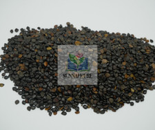 SunnahCure - Saudi Blackseeds, Habbatu Sauda, Nigella sativa, very rare, 100g picture