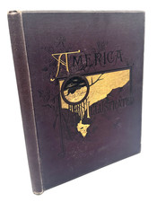America Illustrated J. David Williams 1885 Antique Travel Geography DeWolfe picture