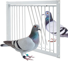11.8In/30Cm Pigeon Door Entrance Racing Pigeon Cage T Bars Birdcage Iron Wire Do picture