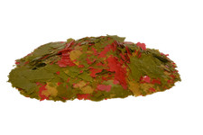 Ken's Premium Super Tropical Flake picture