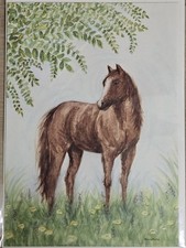 RARE PAPYRUS BELLA PILAR ALL OCCASIONS HORSE IN NATURE ART CARD picture