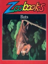 Bats (Zoobooks Series) by Lily Wood;  Deane Rink picture