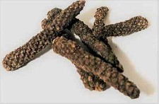 Fresh Organic Whole Long Pepper (Longum, Indian long pepper) Ayurveda picture