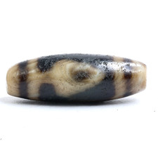 Rare Tibetan Bodhi Tree Eye-in-Eye Agate Dzi Bead Handmade Protective Amulet picture