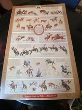 RARE 1981 Sam Savitt Professional Rodeo Cowboys Assoc. Wrangler Jeans Poster picture