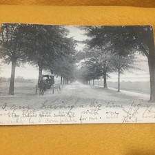 1906 Oakland Avenue Sumter SC Postcard picture