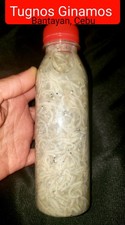 TUGNOS GINAMOS 3 bot. Approx 250ml/bot. Made in Bantayan CEBU.  USA picture