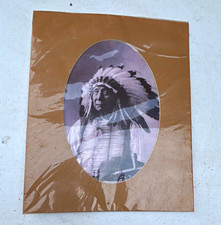 Charles M. Bell Red Cloud (Mahpiyah Luta) Oglala Sioux Chief Photo picture