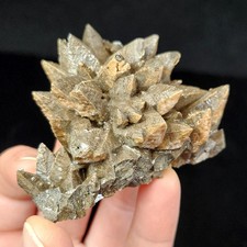 Chocolate Dogtooth Calcite picture