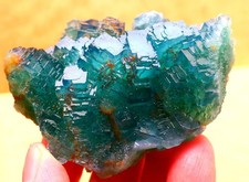 225.g Natural