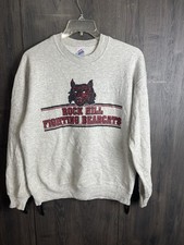 Vintage Jerzees Super Sweats Rock Hill Bearcats Sweatshirt Adult Large Gray picture