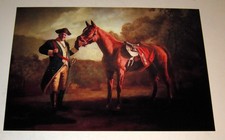 Sopranos Tony Soprano and Horse 
