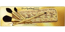 MAC GOLDEN TOUCH MINI BRUSH 5 PC GOLD KIT BAG 498SES 497SES 499SES 595/596 NIB picture