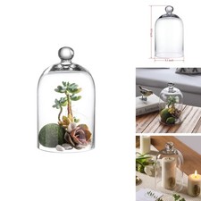 KMwares Clear Glass Display Dome Cloche Bell Jar Tabletop Decorative Case picture