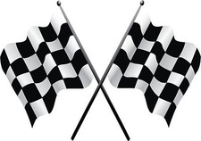Checkered Flag Nascar Vinyl Decal / Sticker ** 5 Sizes **   picture
