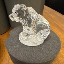 Swarovski Vintage Clear Crystal Grizzly Bear Made In Austria Box Certificate picture